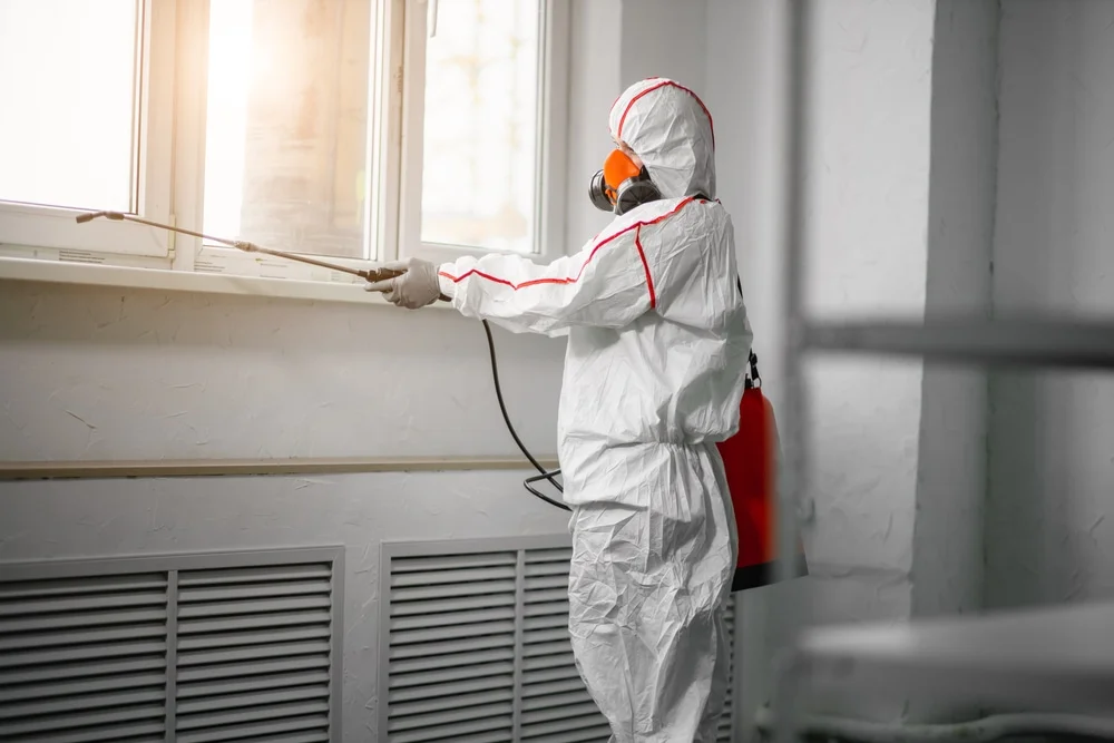 Professional mold remediation services in Midway, AR